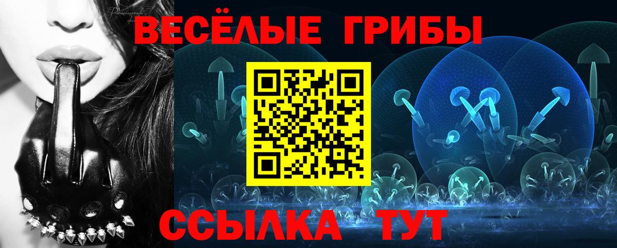 Псилоцибиновые грибы GOLDEN TEACHER Малгобек
