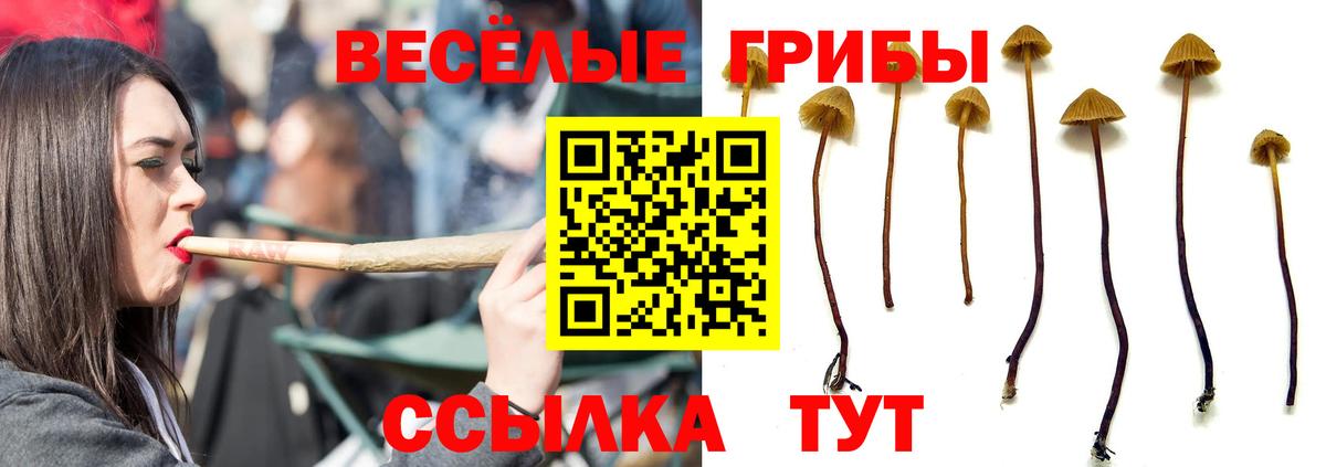 Псилоцибиновые грибы MAGIC MUSHROOMS  Псилоцибиновые грибы GOLDEN TEACHER  Вход с VPN  Малгобек 