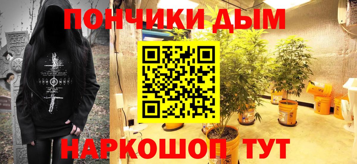 Конопля ГИДРОПОН  Вход с VPN  Конопля THC 21%  Малгобек 